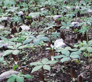 &#20247;&#24425;&#23448;&#32593;&#45;&#40;&#20013;&#22269;&#41;&#32929;&#20221;&#26377;&#38480;&#20844;&#21496;
