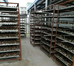 &#20247;&#24425;&#23448;&#32593;&#45;&#40;&#20013;&#22269;&#41;&#32929;&#20221;&#26377;&#38480;&#20844;&#21496;