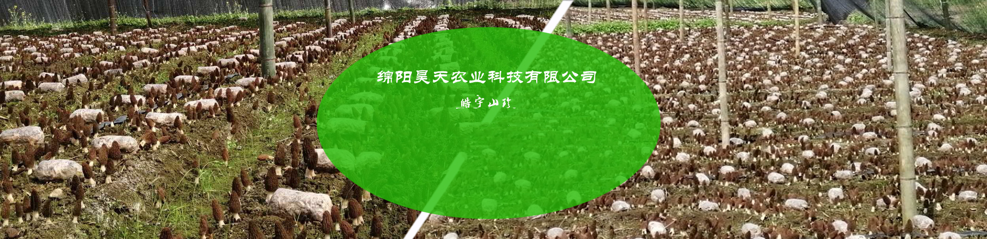 &#20247;&#24425;&#23448;&#32593;&#45;&#40;&#20013;&#22269;&#41;&#32929;&#20221;&#26377;&#38480;&#20844;&#21496;