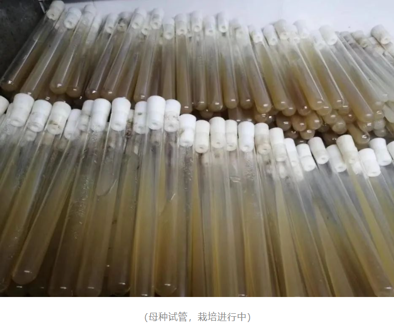 &#20247;&#24425;&#23448;&#32593;&#45;&#40;&#20013;&#22269;&#41;&#32929;&#20221;&#26377;&#38480;&#20844;&#21496;